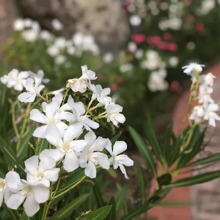 Valkarana Country Relais (adults Only) Hotel 4*